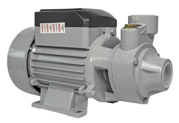 Поверхностный насос ПСН-2400Ч Ресанта, 370 Вт, 77/4/2