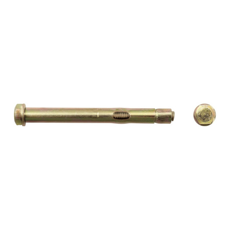 Анкерный болт SWFS 10х100 (2 шт) пакетик, тов-111561