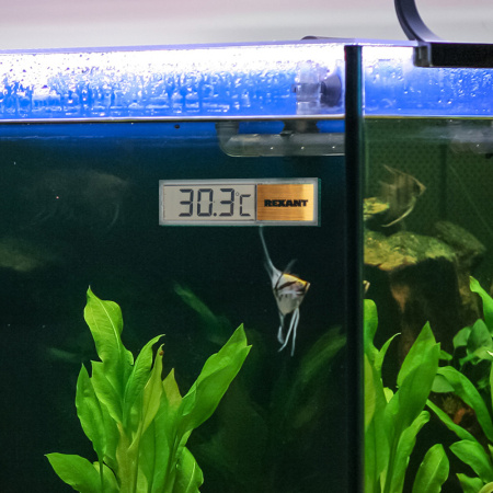 Термометр электронный REXANT RX-509