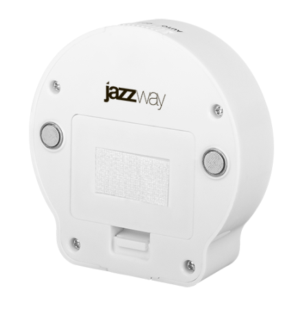 Фонарь-светильник JazzWay TS3-L2W выключательный